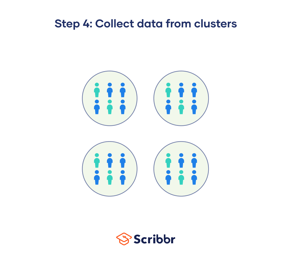 In single-stage cluster sampling, the final step is to collect data from every unit in your selected clusters.
